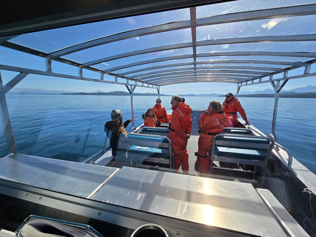 Seasmoke Whale Watching-Alert Bay必去景点
