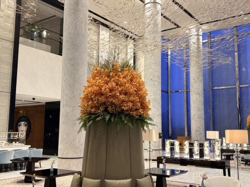 成都尼依格罗酒店-旅行者