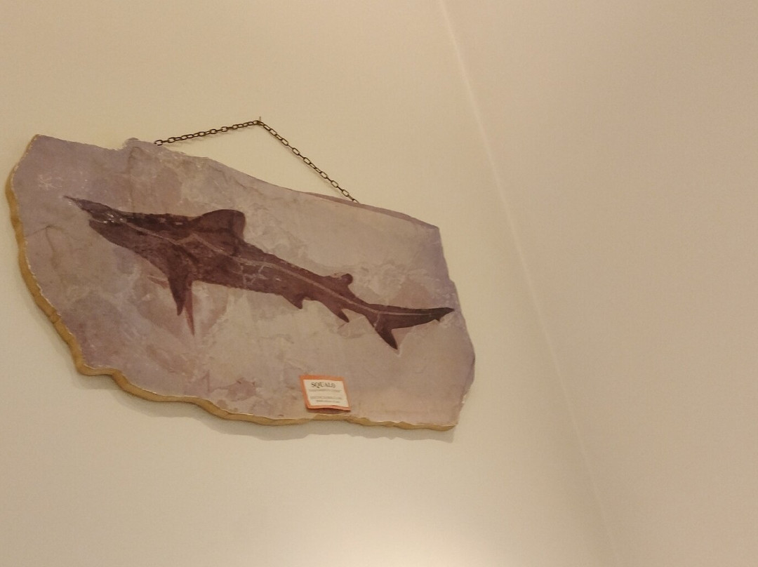 Museo della Marineria-切塞纳蒂科必去景点