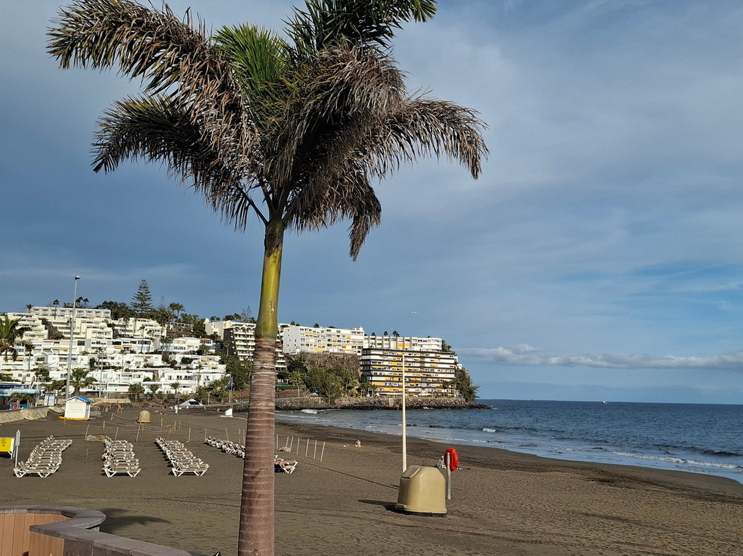 Playa de San Agustin-San Agustin必去景点