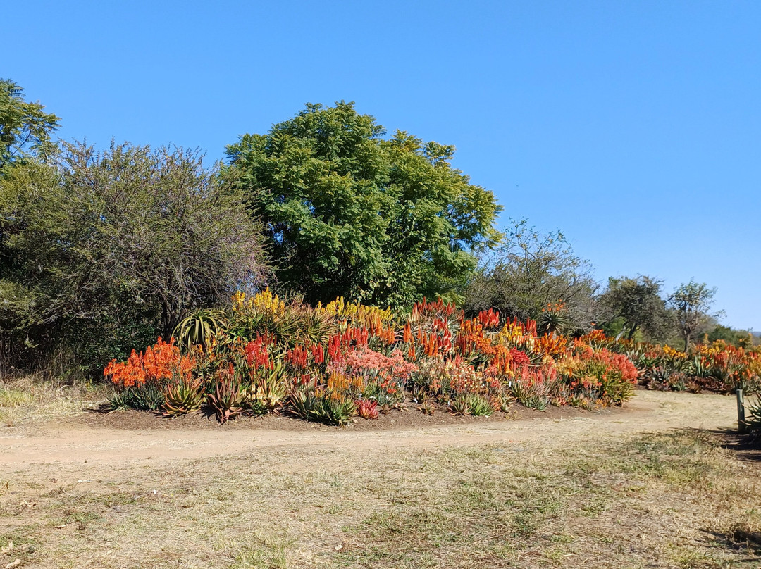 The Aloe Farm-哈特比斯普特必去景点