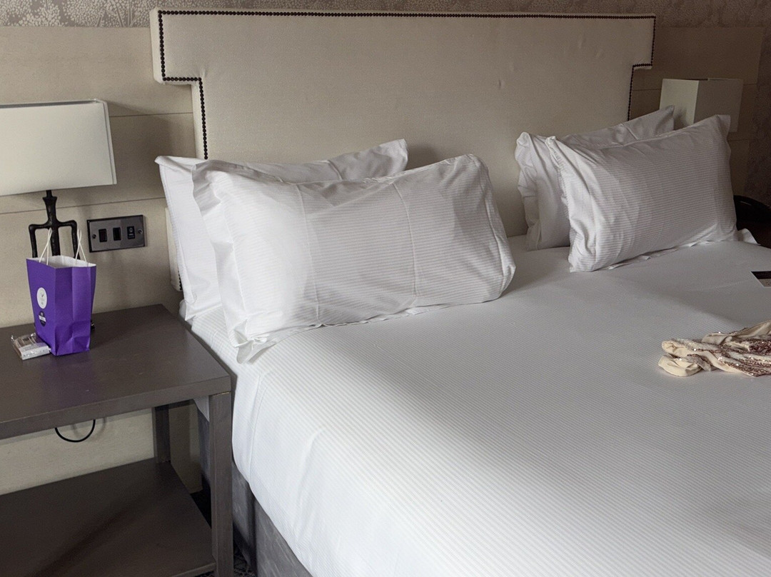 奥顿霍尔 Spa 酒店及高尔夫度假村主图