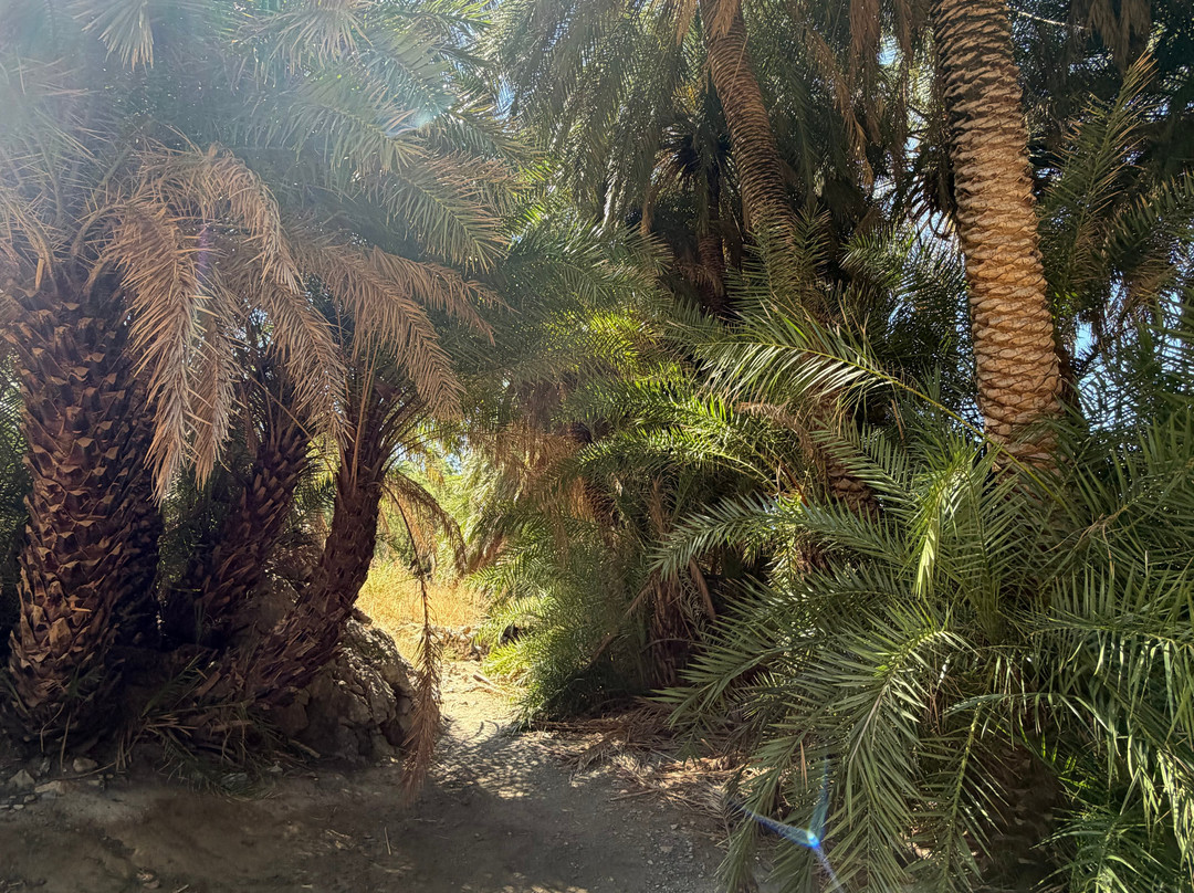 Preveli Beach-Plakias必去景点