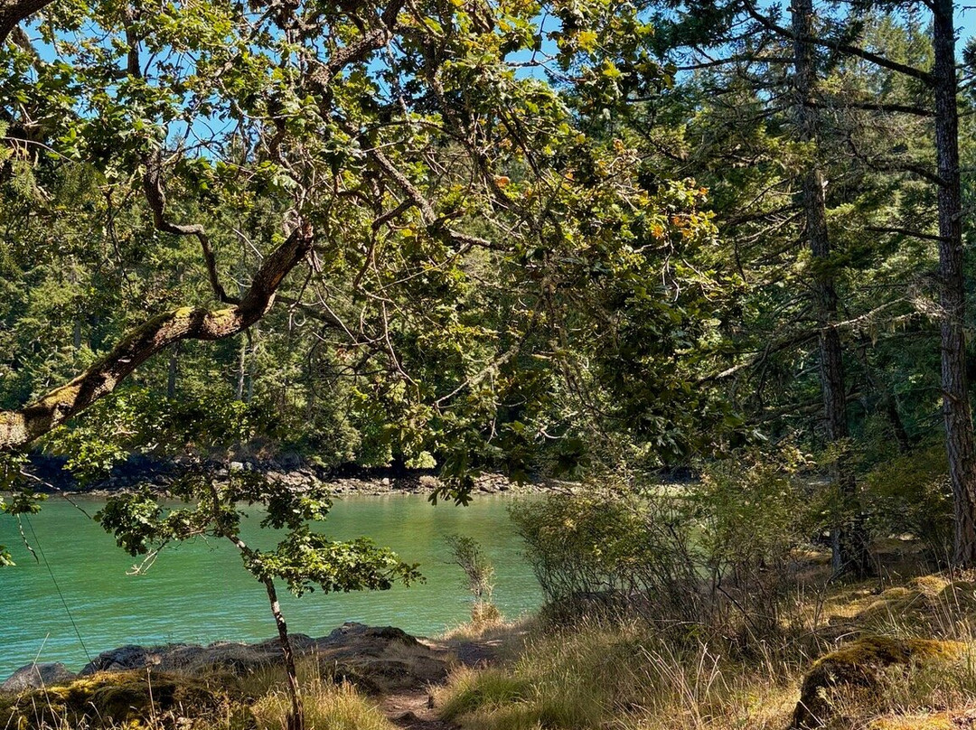 Ruckle Provincial Park-盐泉岛必去景点