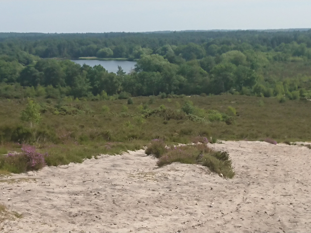 Frensham Little Pond-Frensham必去景点