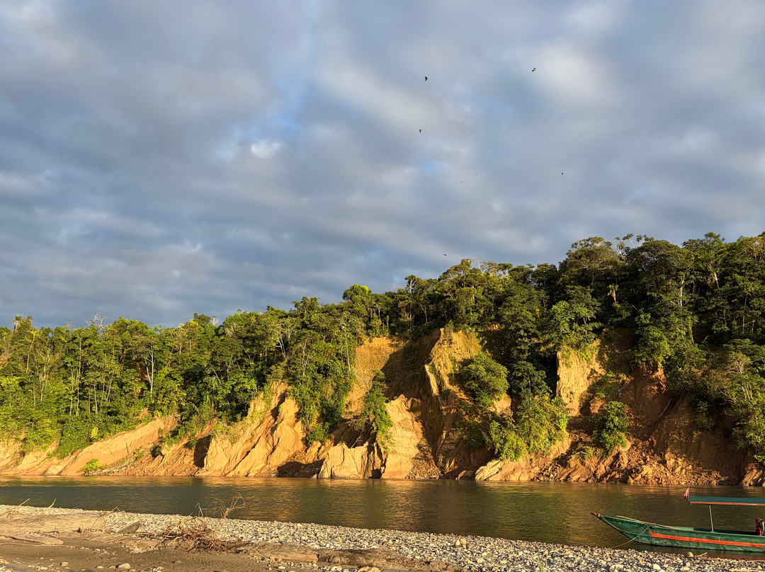 Peru Amazon Expeditions-Manu必去景点
