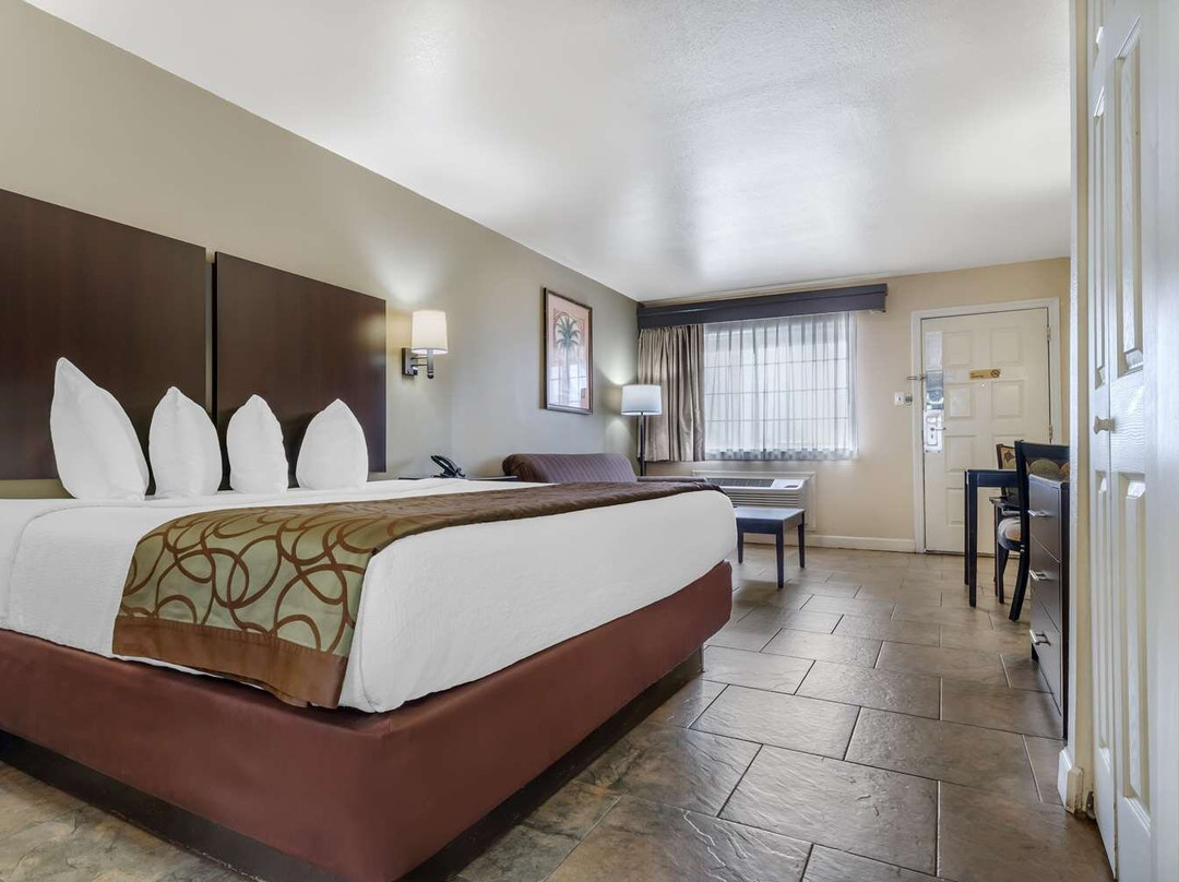 科珀斯克里斯蒂市酒店住宿-Best Western Padre Island