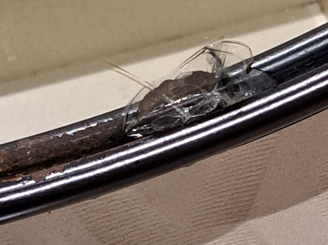芙尔格思科尼尔公园酒店主图