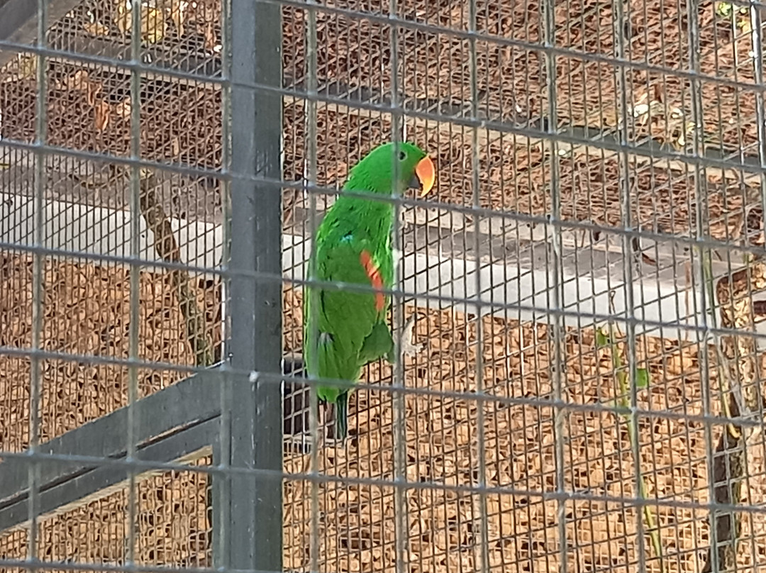 Parc Des Oiseaux-Villars-les-Dombes必去景点