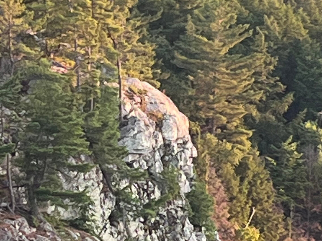Killarney Mountain Lodge主图