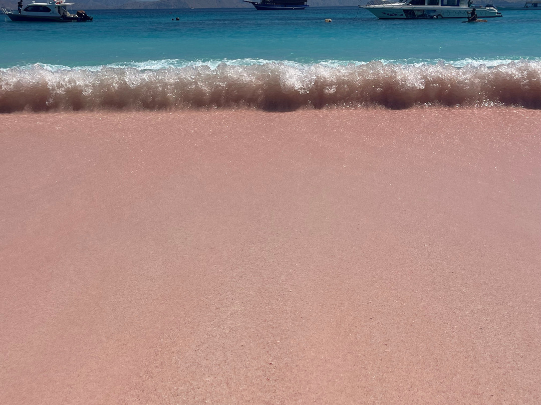 Pink Beach-科莫多必去景点