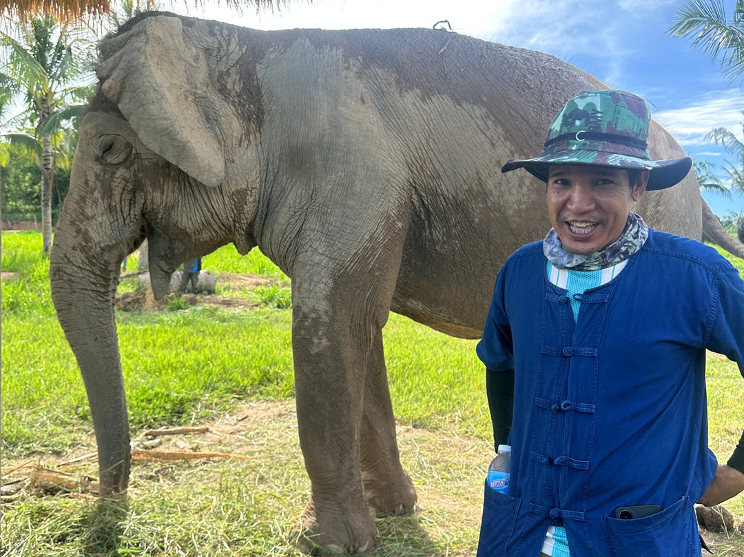 Living Green Elephant Sanctuary-清迈必去景点