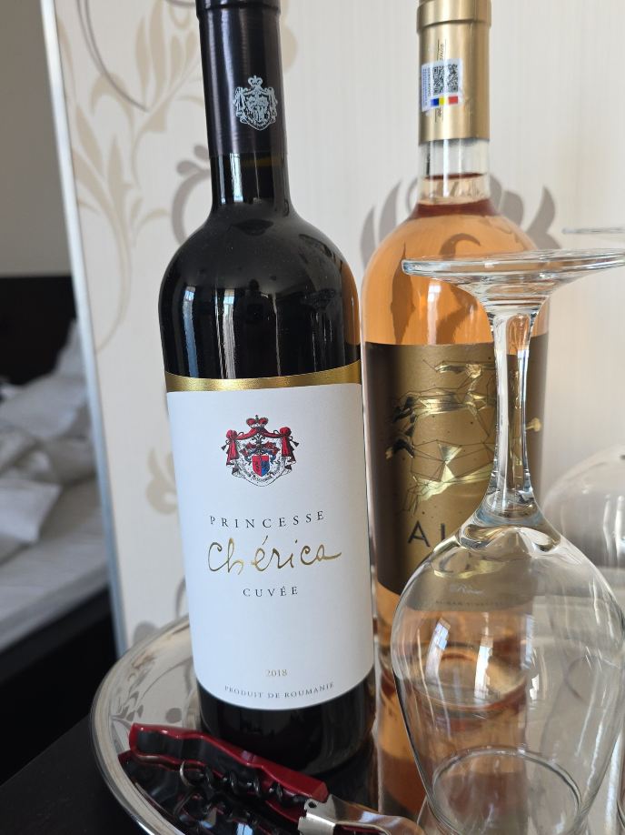 凯瑞卡酒店-旅行者