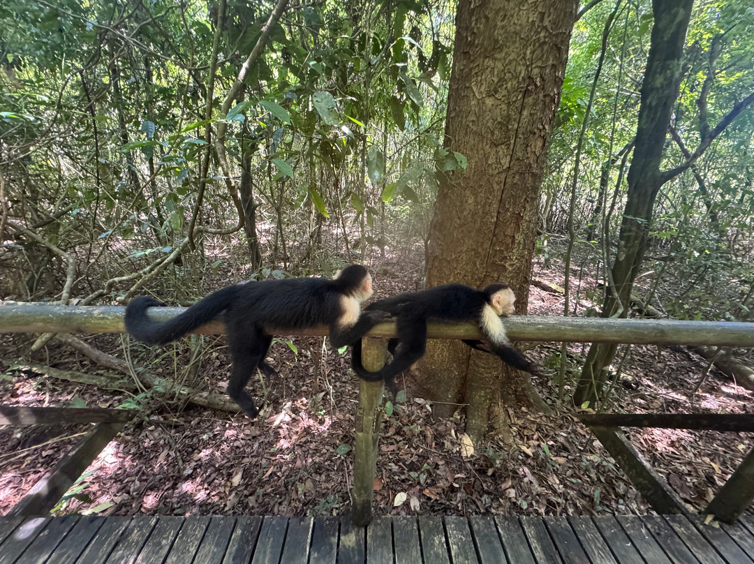 Parque Nacional Manuel Antonio