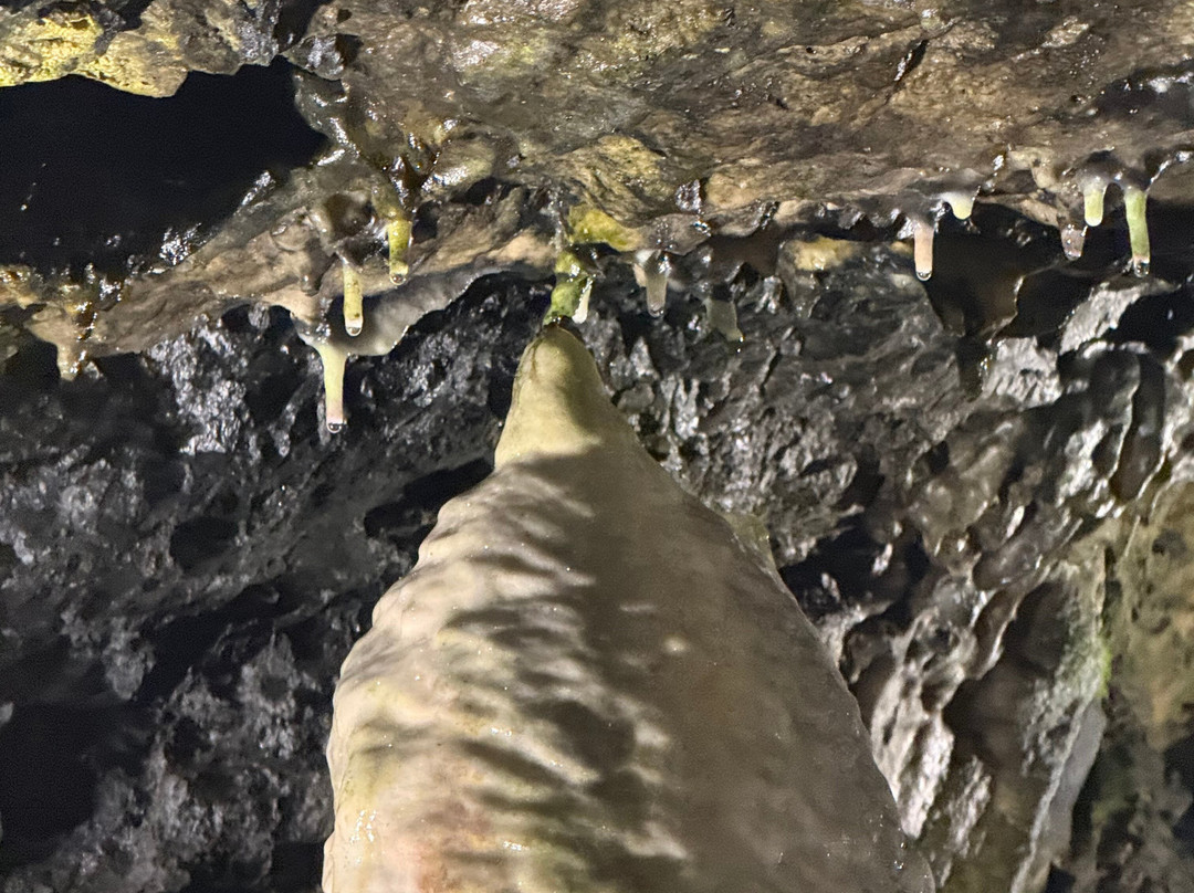 The Magura Cave-Rabisha必去景点