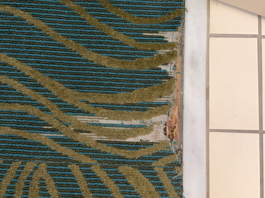 费城威洛格罗夫万豪SpringHill酒店主图