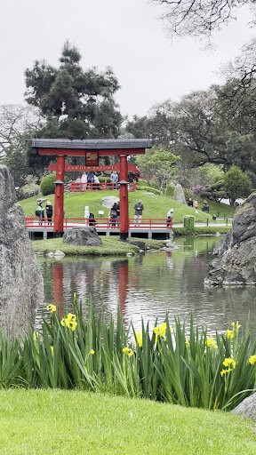 Jardín Japonés-布宜诺斯艾利斯必去景点