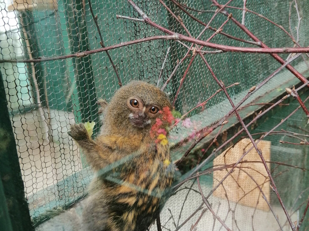 Tropical World-莱特肯尼必去景点