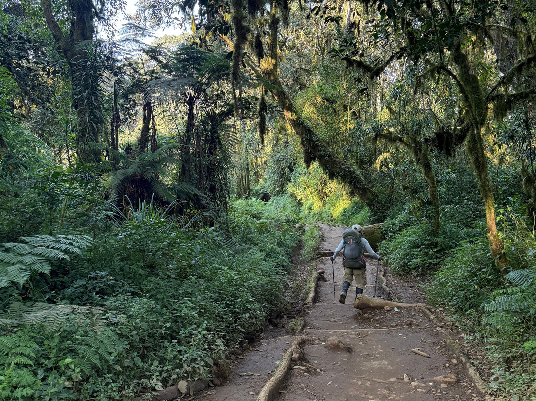Climbing Kilimanjaro-Machame必去景点