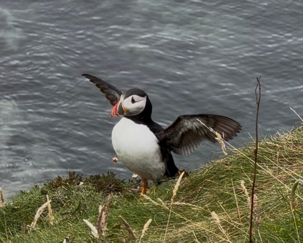 Staffa Tours-Isle of Iona必去景点