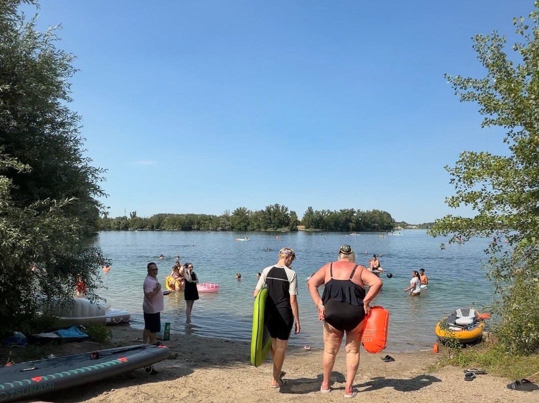 Silbersee-Bobenheim-Roxheim必去景点