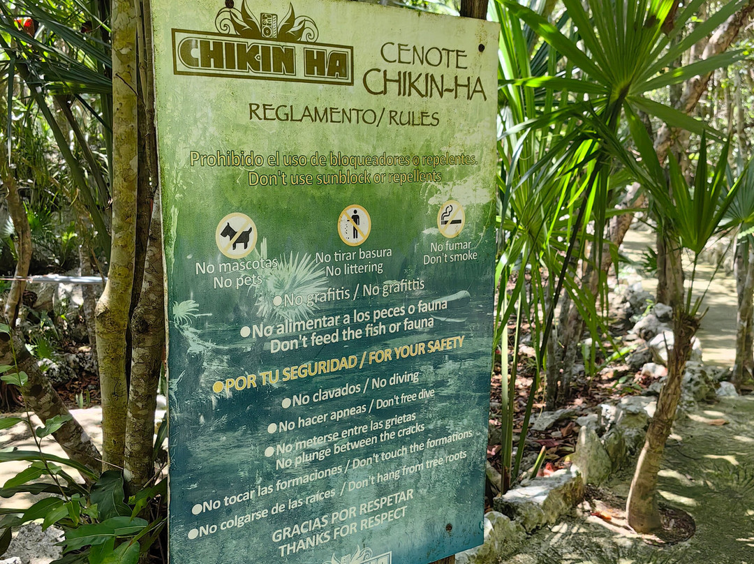 Dressel Divers - Barceló Maya Riviera-Barcelo Maya必去景点