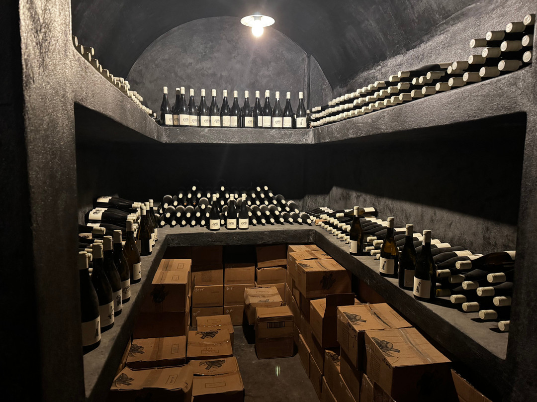Artemis Karamolegos Winery-Exo Gonia必去景点