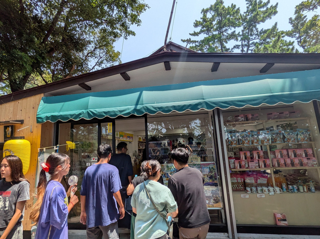 城崎海岸-伊东市必去景点
