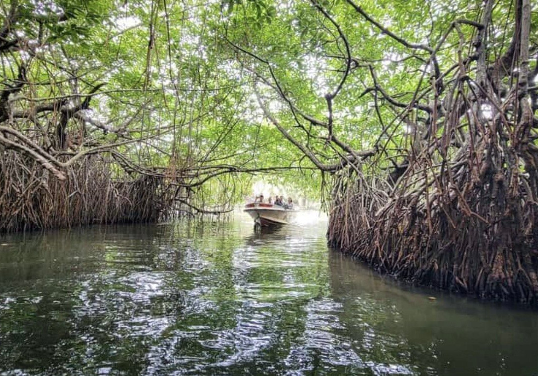 Smart Tours Sri Lanka-科伦坡必去景点