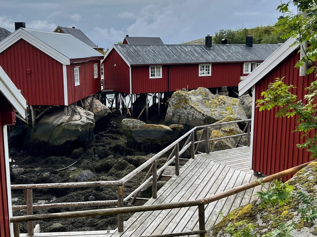 Nusfjord Fishing Village-Nusfjord必去景点