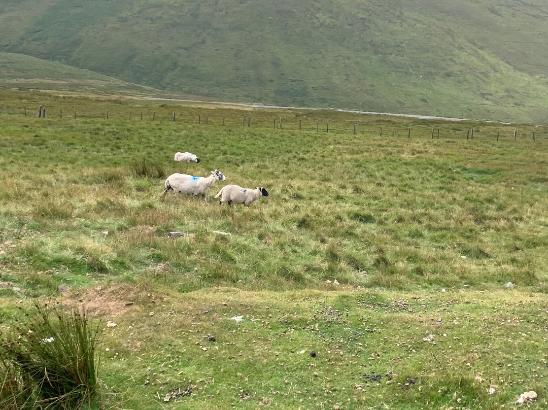 Snaefell-Laxey必去景点