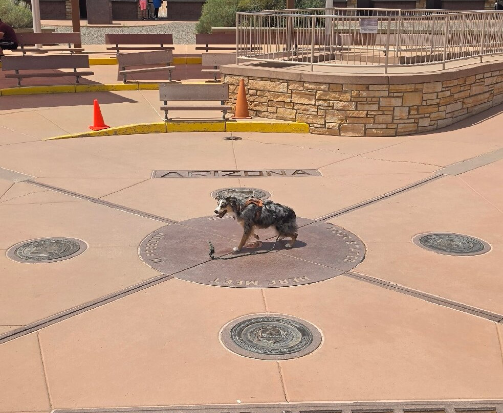 Four Corners Monument-Teec Nos Pos必去景点