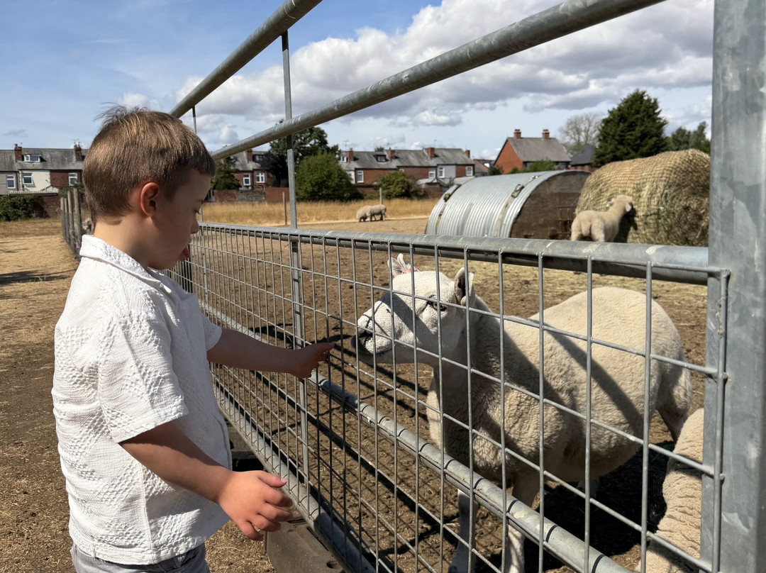 Willow Tree Family Farm-Shirebrook必去景点