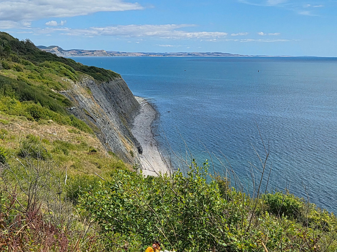 Lyme Regis Undercliff-莱姆里杰斯必去景点