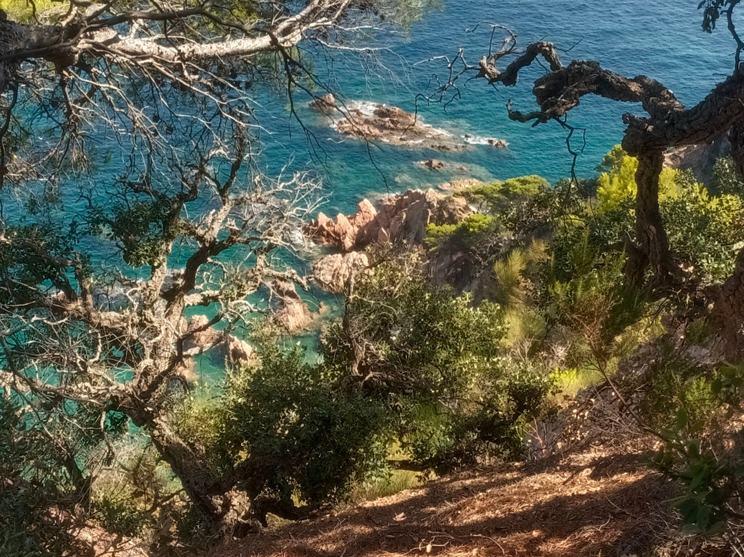 Cala del Senyor Ramon-多萨德马尔必去景点