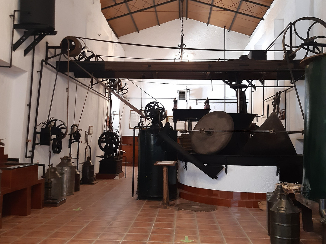 Museo Alcala Oliva-Alcala la Real必去景点