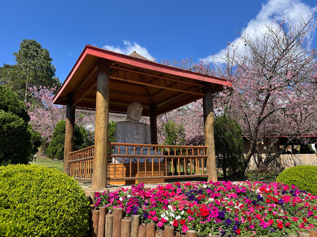 Parque das Cerejeira-坎普斯－杜若尔当必去景点