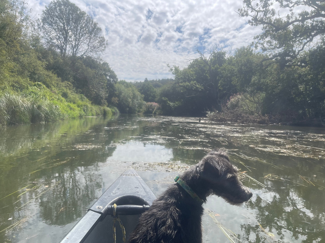 Pulborough Paddles-Pulborough必去景点
