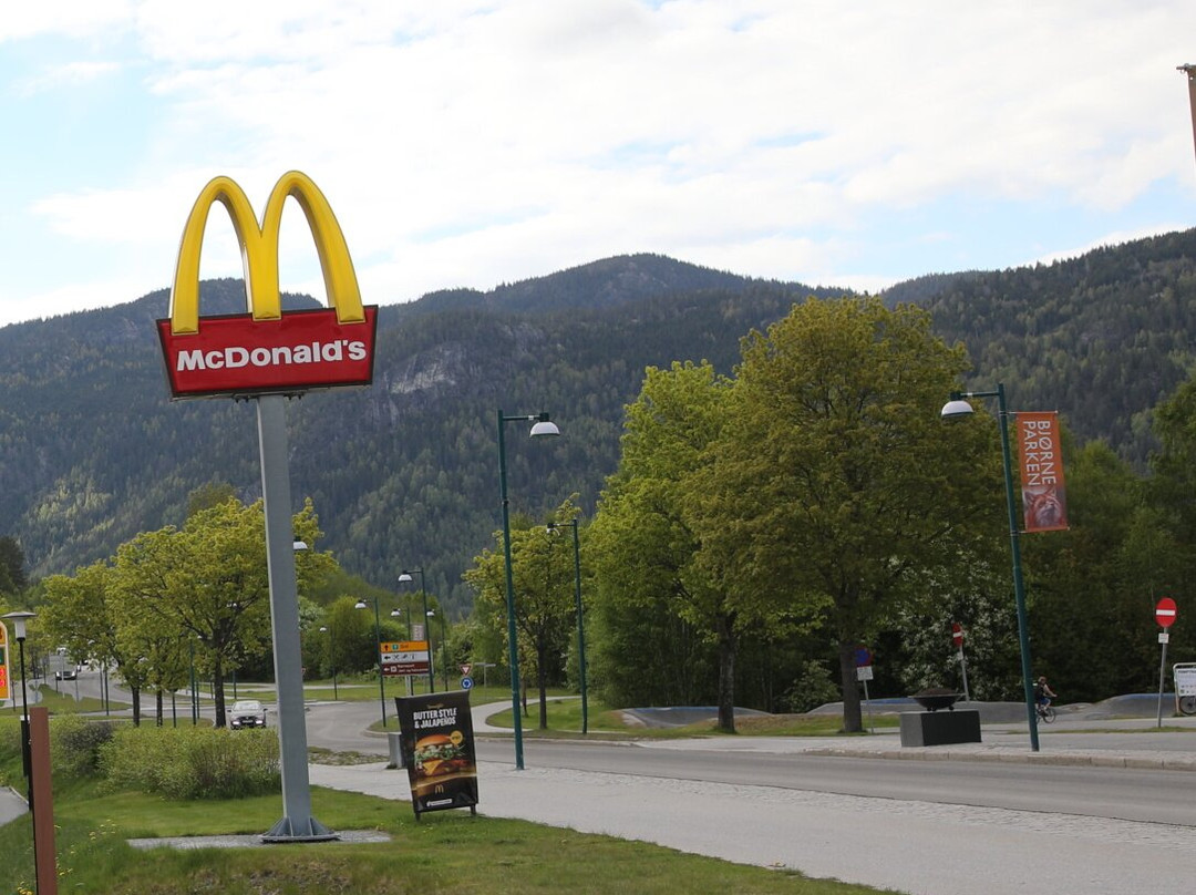 McDonalds Flå