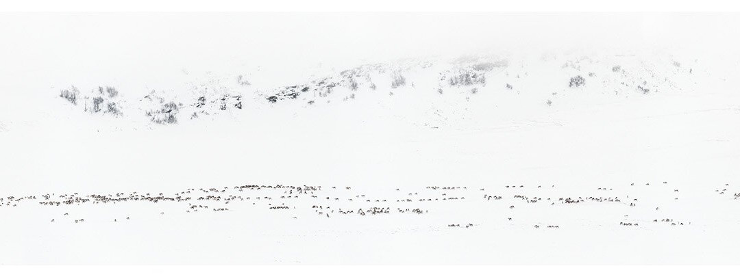 Fjellheimen Galleri-Lom必去景点