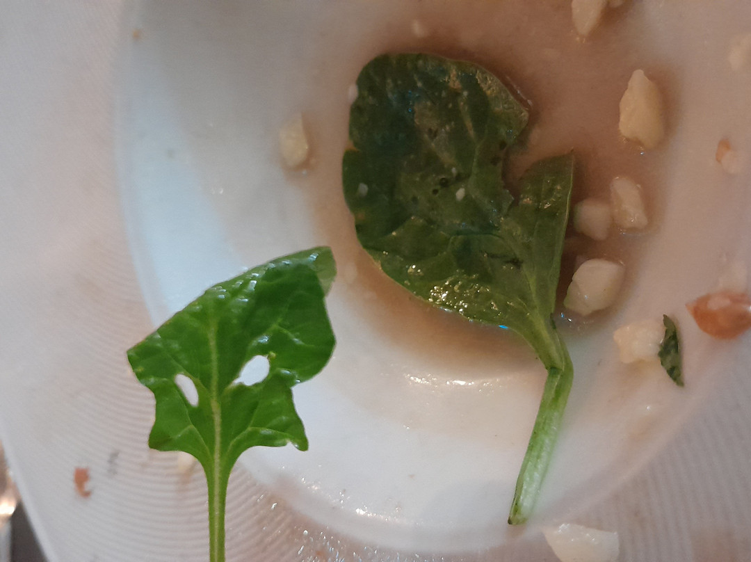 卡斯蒂略皮拉斯博纳斯酒店主图