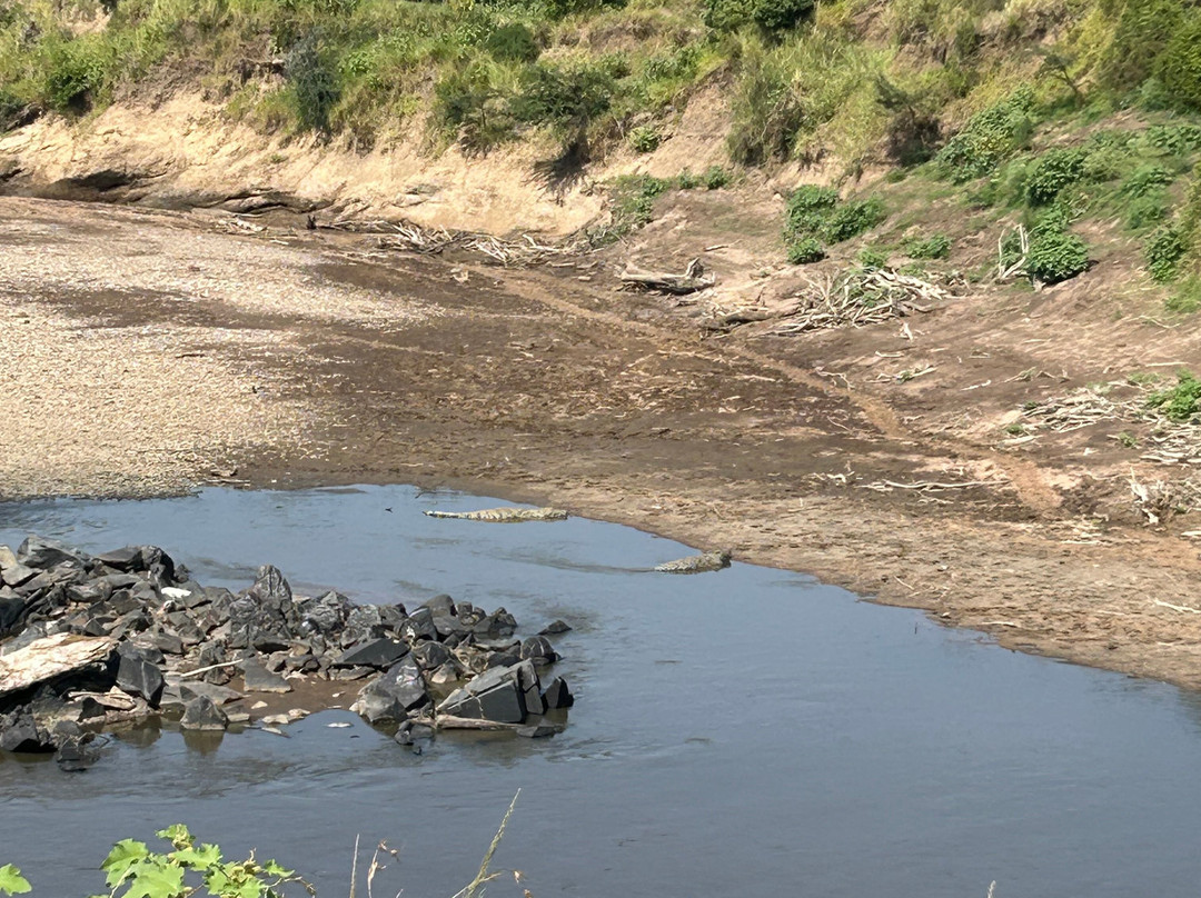 Mara River-马赛马拉国家野生动物保护区必去景点