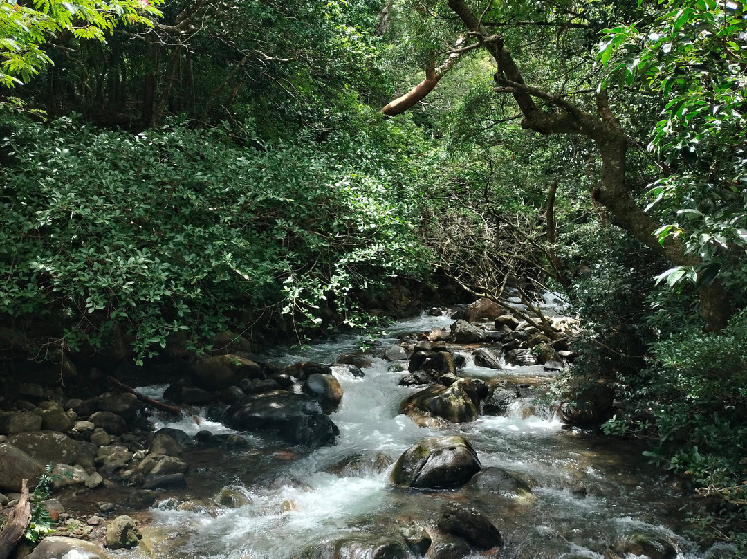Parque Nacional Rincón de la Vieja-瓜纳卡斯特省必去景点