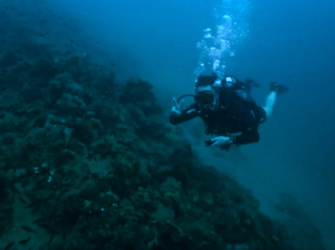 Argonauta Diving Resort-Rovies必去景点