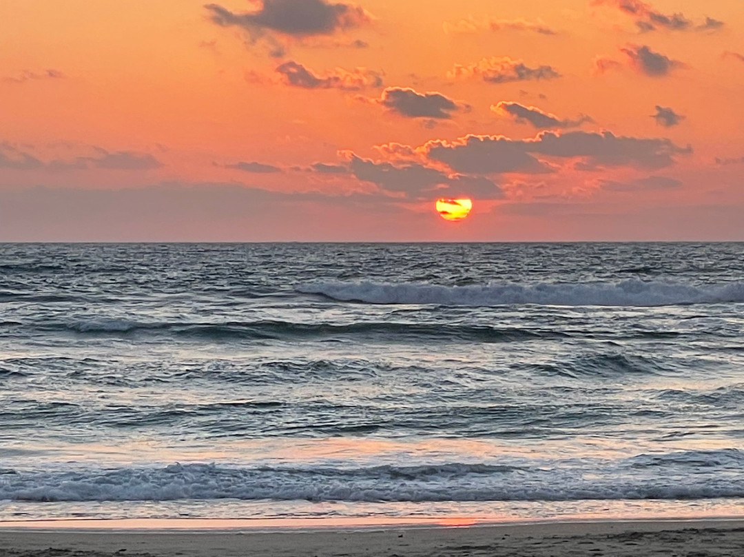 Nahsholim Beach Hotel主图