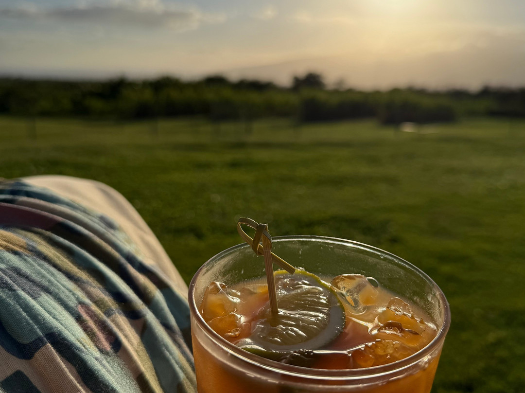 Ocean Vodka Organic Farm and Distillery-库拉必去景点