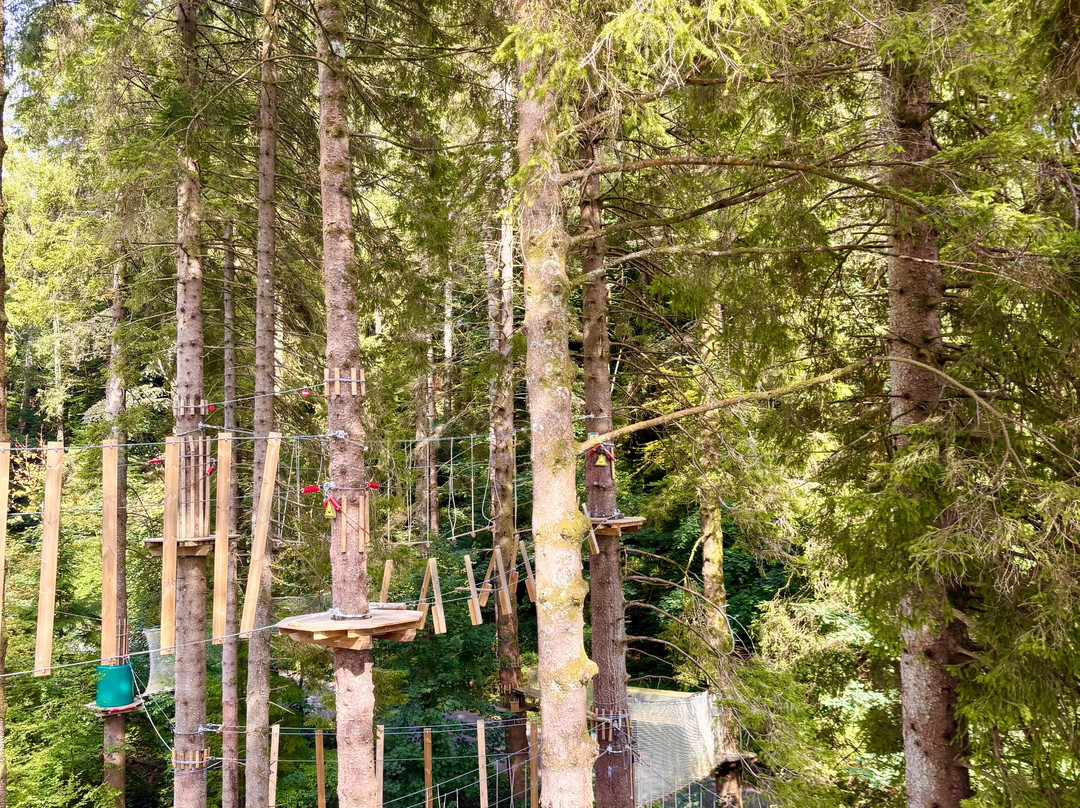 Go Ape Grizedale-Hawkshead必去景点