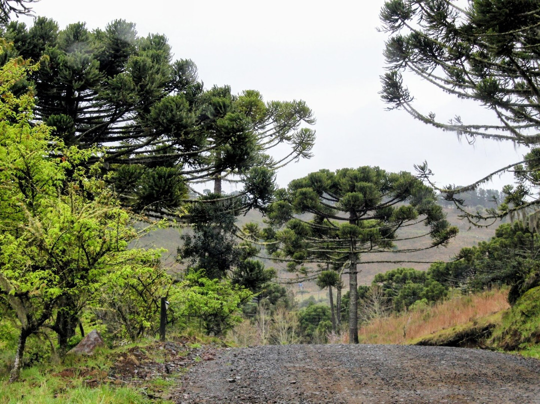 Epagri Experimental Station-Sao Joaquim必去景点