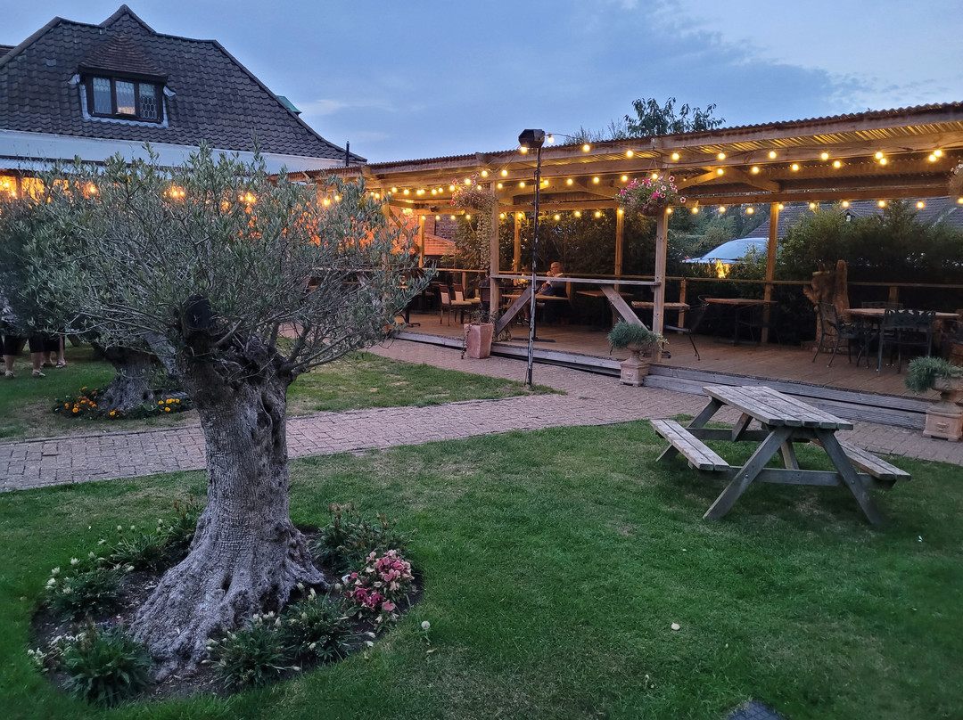 天鹅汽车旅馆主图