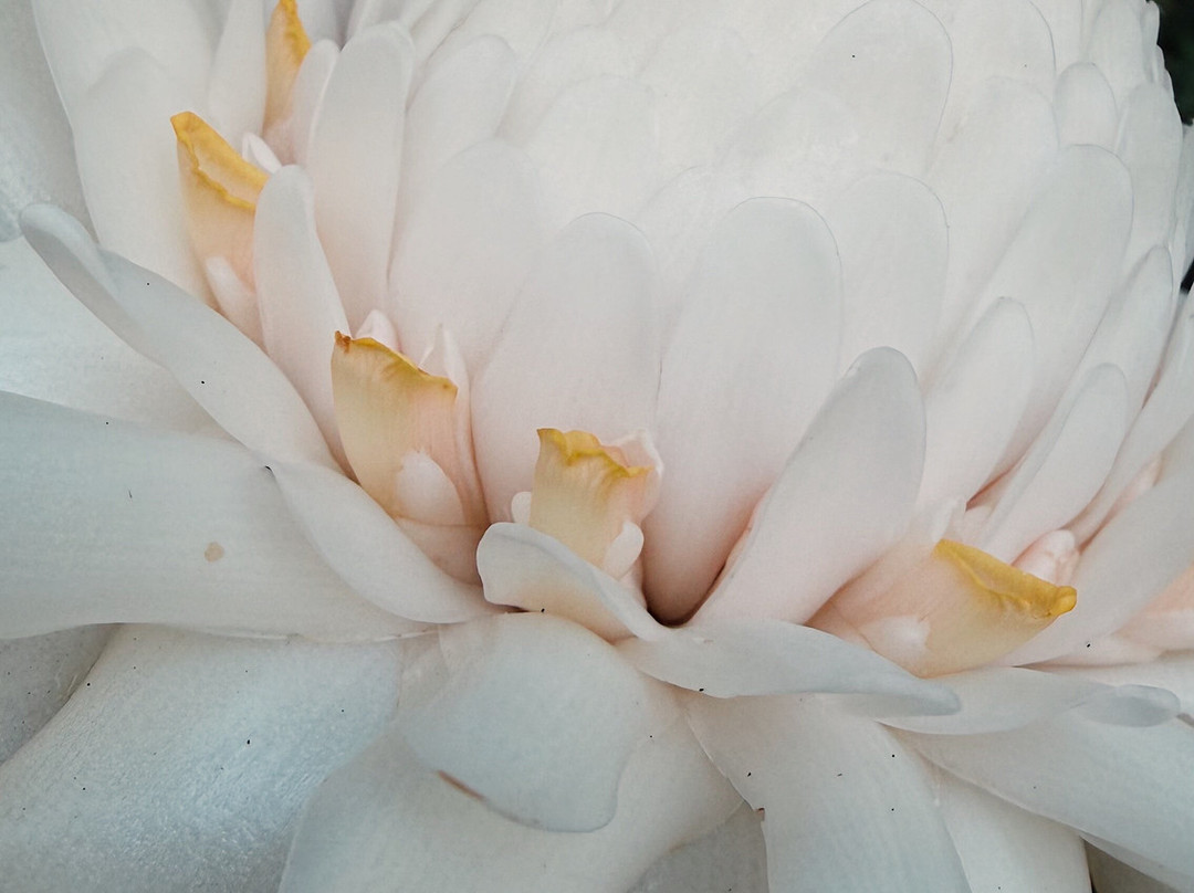 Jardin Botanique de Valombreuse-Petit-Bourg必去景点